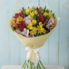 Букет цветов из:  Альстромерии #REPLACE_PRED# Иноземка